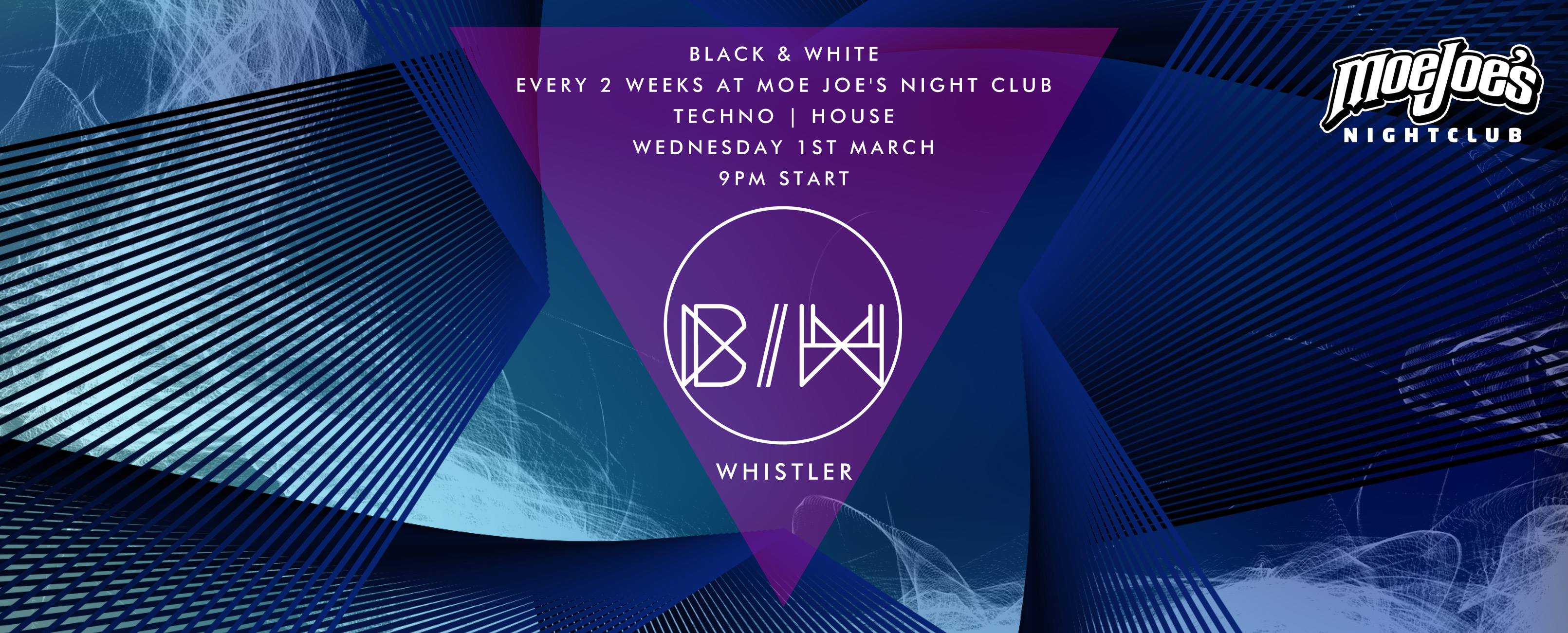 Whistler House and Techno Party